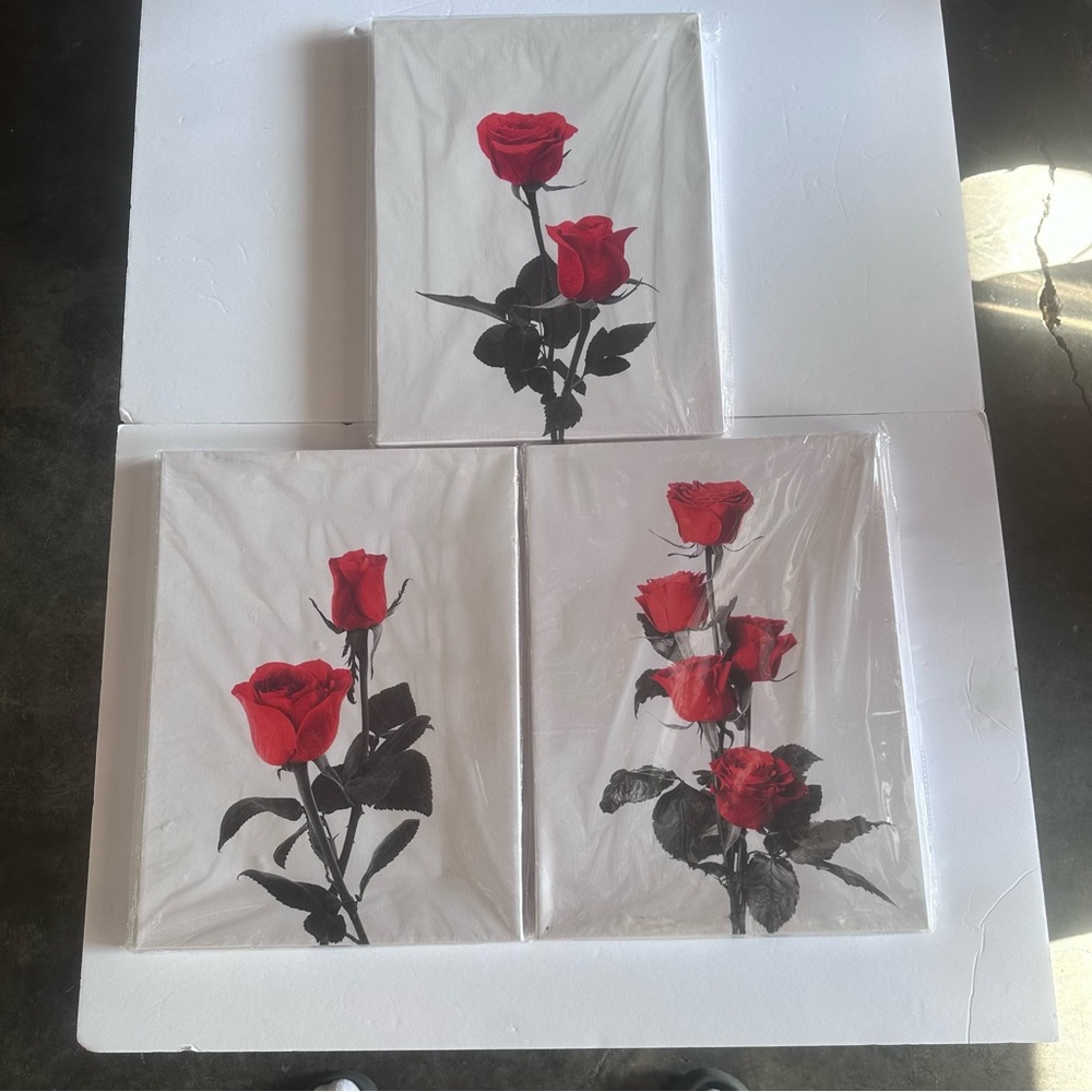 Red Rose Canvas Wall Art Set